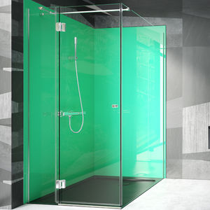 swing shower screen