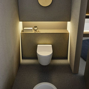 wall-hung toilet