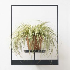 wall-mounted shelves