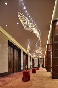 contemporary chandelier 1
