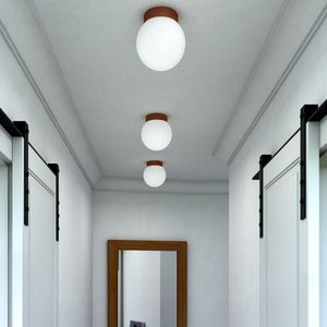 contemporary ceiling light
