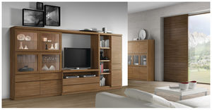 contemporary TV wall unit