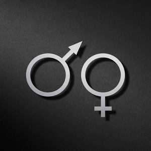 stainless steel door pictogram 1