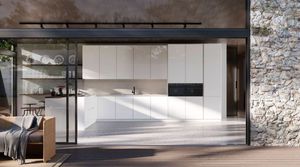 contemporary kitchen 1