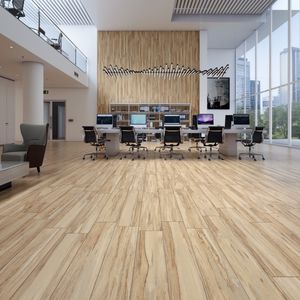 indoor tile / wall / floor / porcelain stoneware