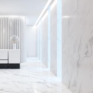 indoor tile / wall / floor / porcelain stoneware
