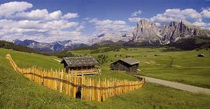 wooden fence