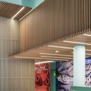 bamboo suspended ceiling