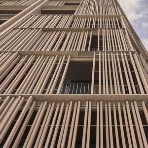 facade trellis 1