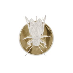 original design wall light