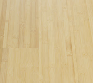 solid parquet floor