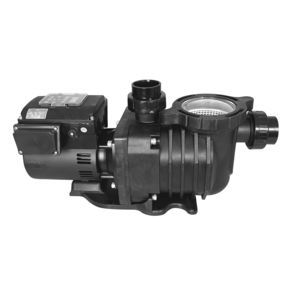 variable-speed swimming pool pump