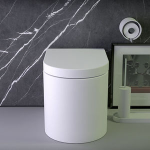 free-standing toilet 1