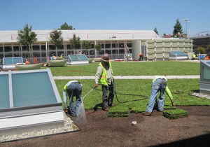 flat roof garden sod