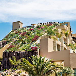 extensive green roof system