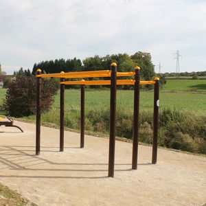 suspension ladder