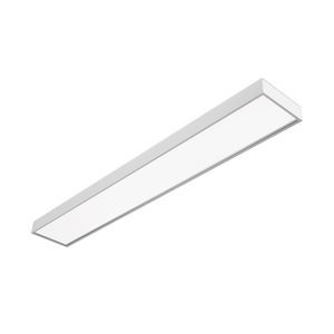 surface mounted light fixture 1