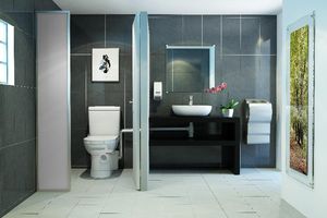 sanitary macerator