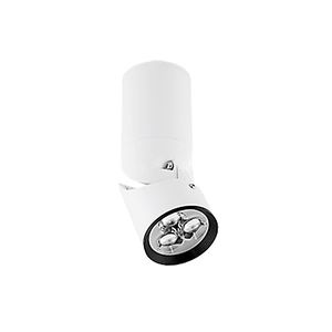ceiling-mounted spotlight