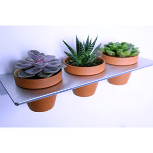 wall-mounted shelves