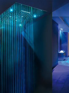 ceiling-mounted shower head