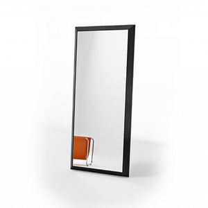 wall-mounted mirror