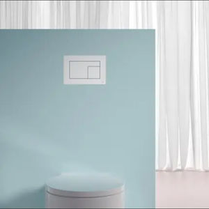 double toilet flush button