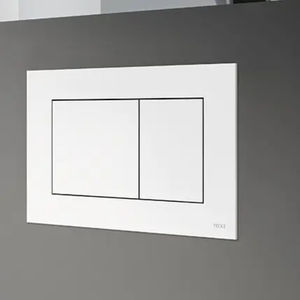 double toilet flush button
