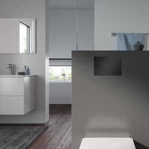 double toilet flush plate 1