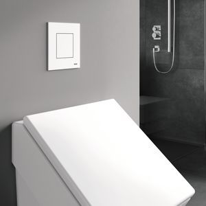 urinal toilet flush 1