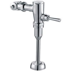 urinal toilet flush
