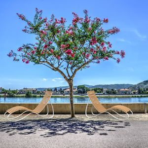 contemporary sun lounger