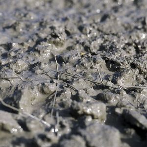 self-consolidating concrete