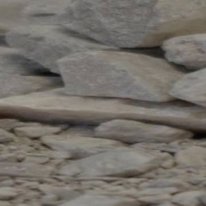 standard gravel 1