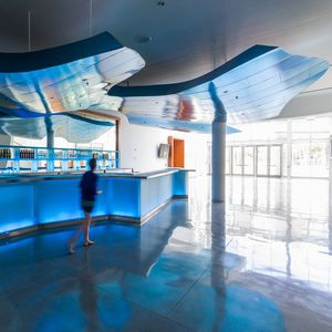 aluminum suspended ceiling