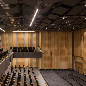 wall-mounted acoustic panel / in wood fiber / colored / auditorium