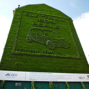 preserved green wall