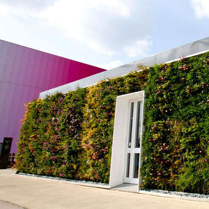preserved green wall