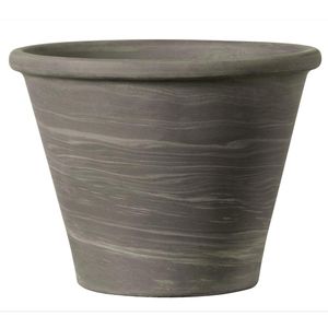 terracotta plant pot