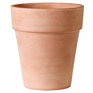 terracotta plant pot