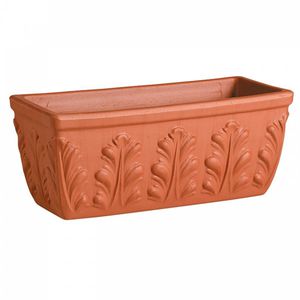 terracotta plant pot