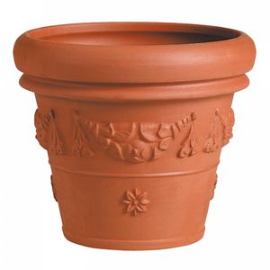 terracotta plant pot