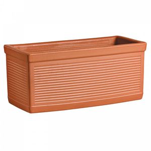 terracotta plant pot
