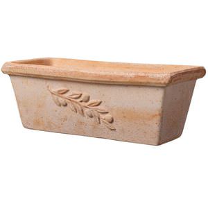 terracotta plant pot