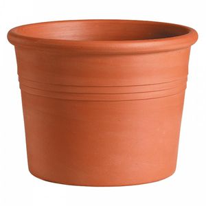 terracotta plant pot
