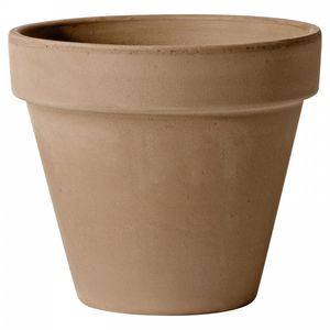 terracotta plant pot