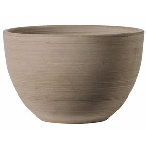 terracotta plant pot