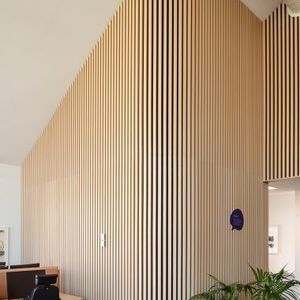 ceiling acoustic panel