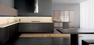 contemporary kitchen 1