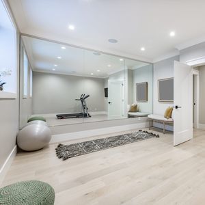 mirror glass panel